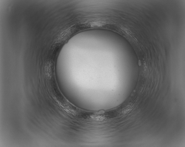 X0000053020311200507221346