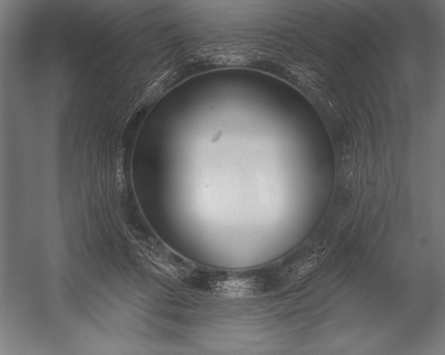 X0000053020312200507221346