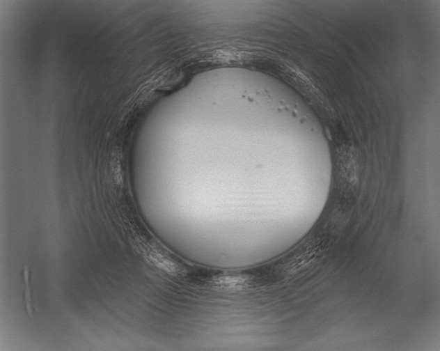 X0000053020313200507221346