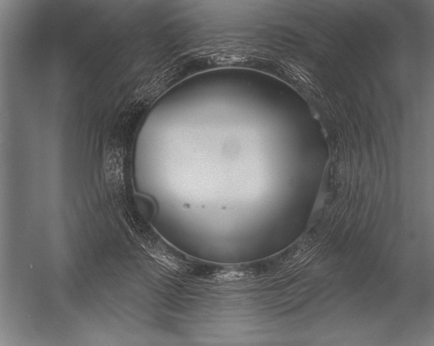 X0000053020315200507221346