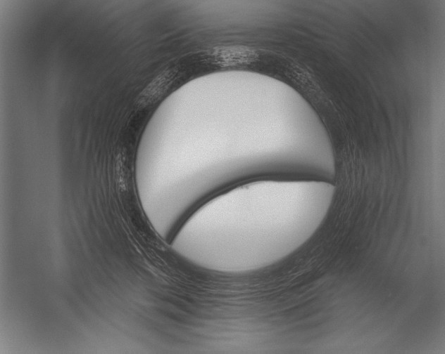 X0000053020316200507221346