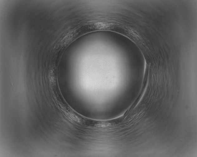 X0000053020317200507221346