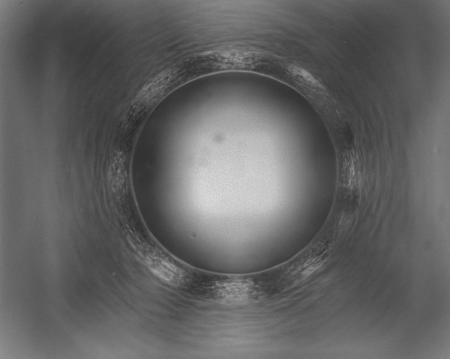 X0000053020318200507221346