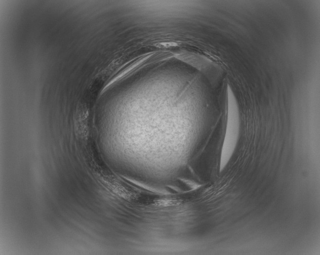 X0000053020319200507221346