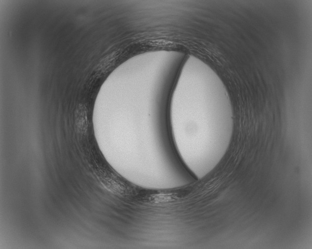 X0000053020320200507221346