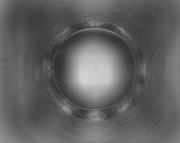 X0000053020321200507221346