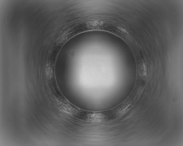 X0000053020324200507221346