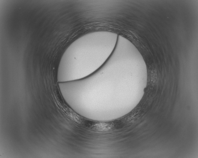 X0000053020326200507221346