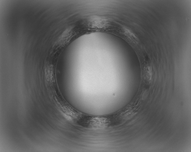 X0000053020328200507221346