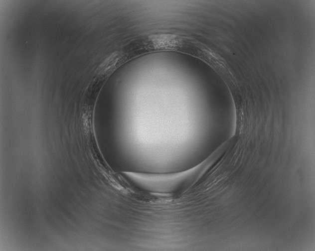 X0000053020329200507221346