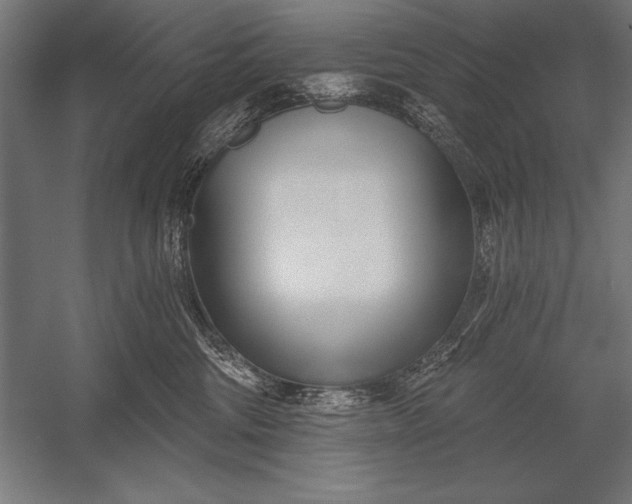 X0000053020330200507221346
