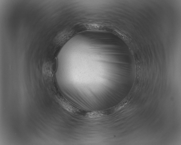 X0000053020331200507221346