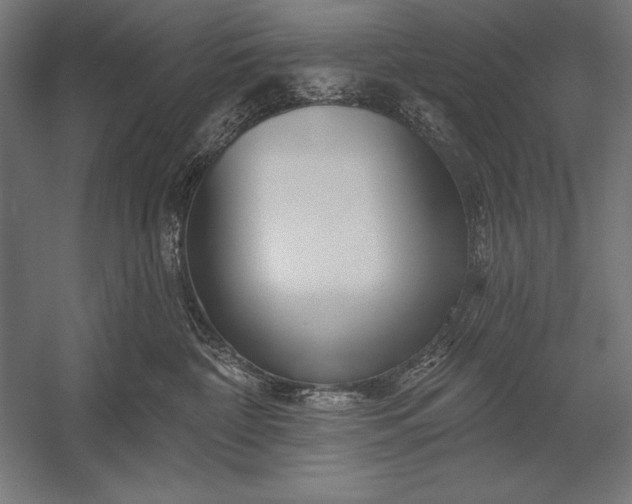 X0000053020332200507221346