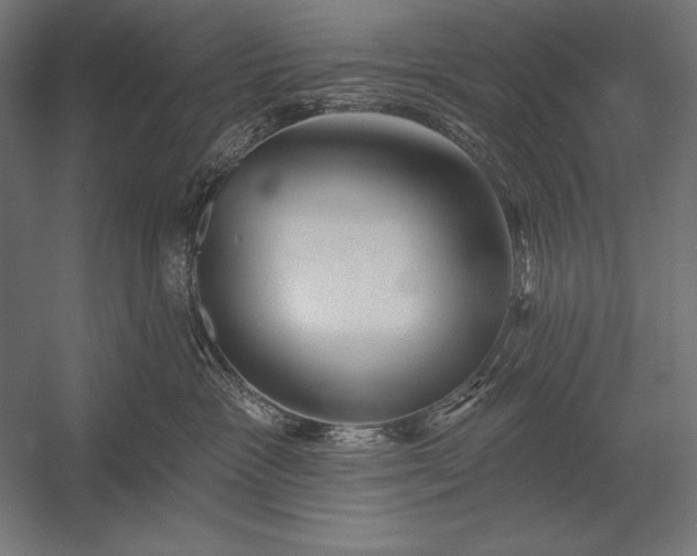 X0000053020333200507221346