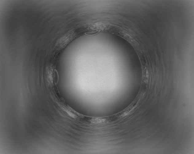 X0000053020334200507221346