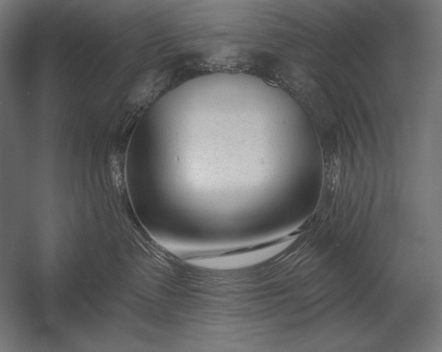 X0000053020335200507221346