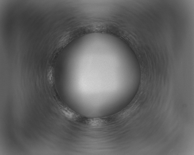 X0000053020336200507221346