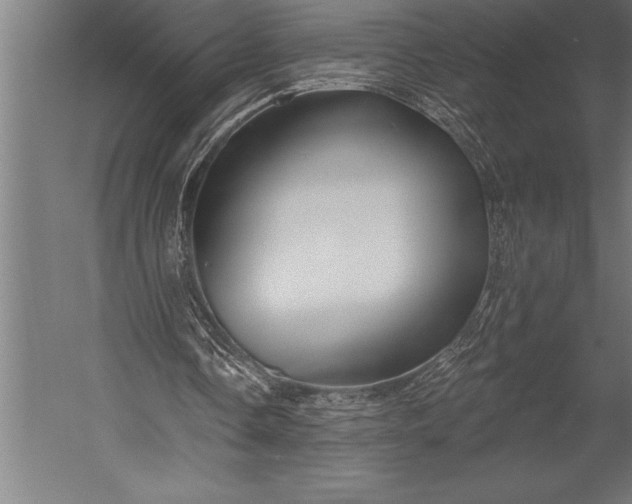 X0000053020338200507221345