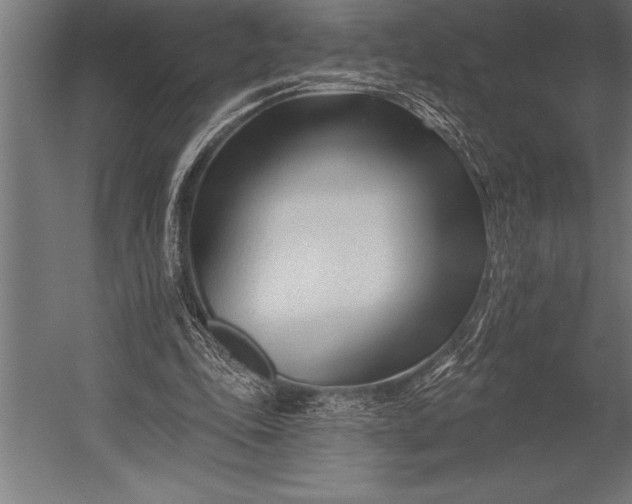 X0000053020343200507221345
