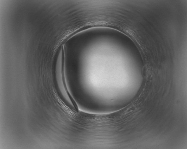 X0000053020345200507221345