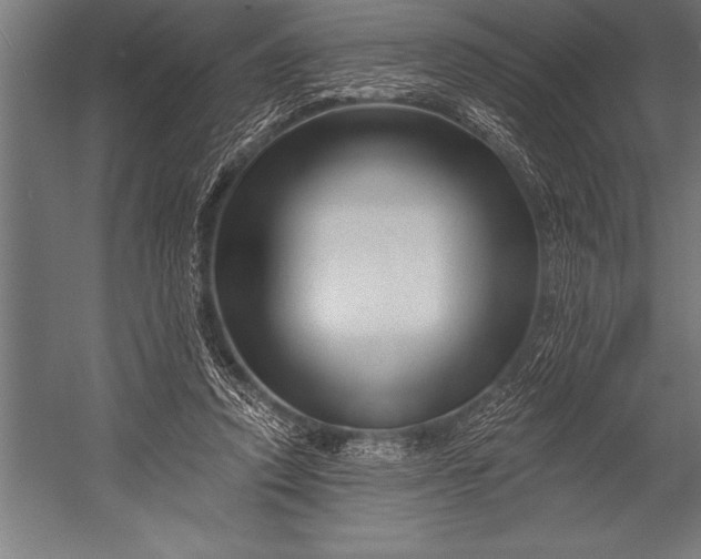 X0000053020354200507221345