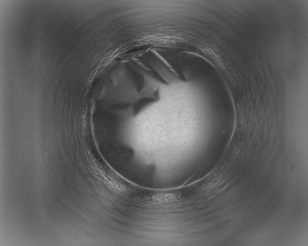 X0000053020357200507221345