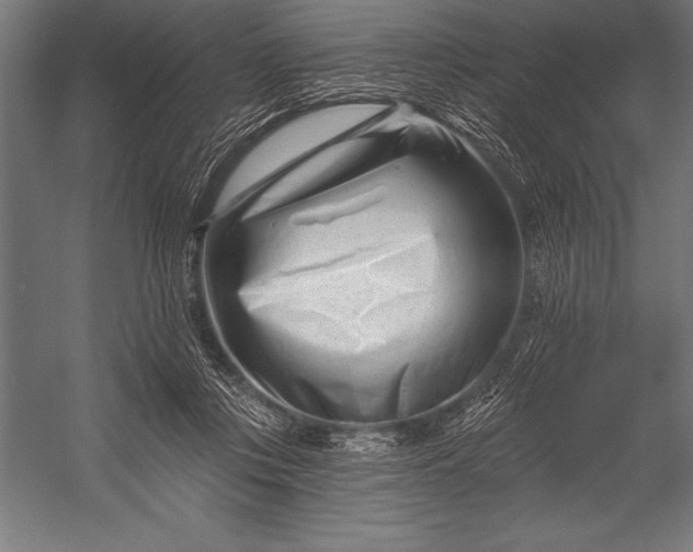 X0000053020359200507221346
