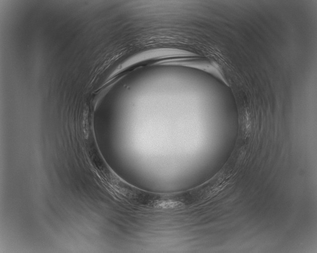 X0000053020360200507221346