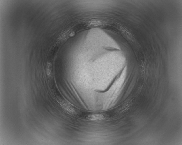 X0000053020361200507221346