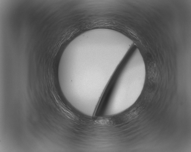 X0000053020362200507221346