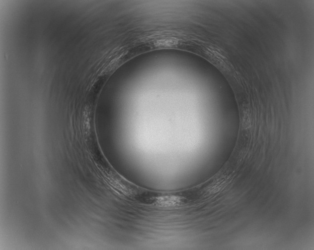 X0000053020363200507221346