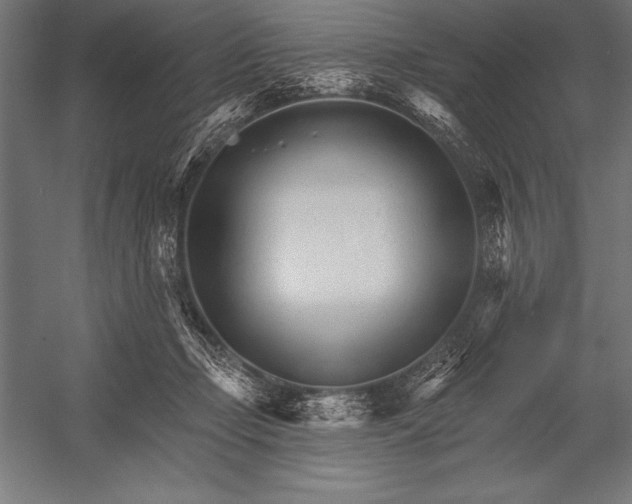 X0000053020365200507221346