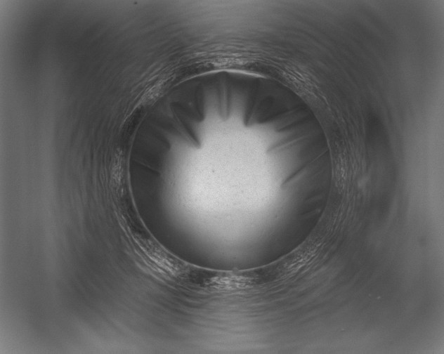 X0000053020367200507221346