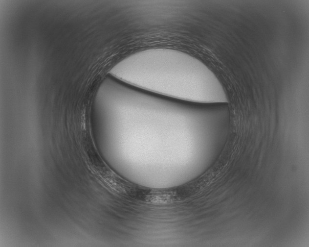 X0000053020368200507221346