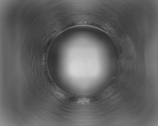 X0000053020369200507221346