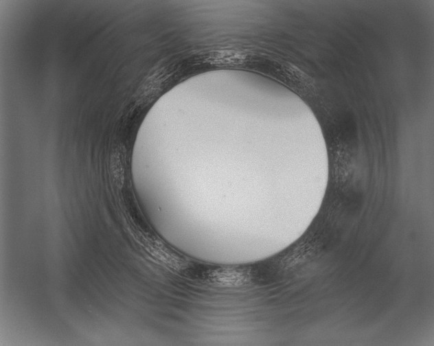 X0000053020370200507221346
