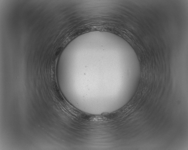 X0000053020372200507221346