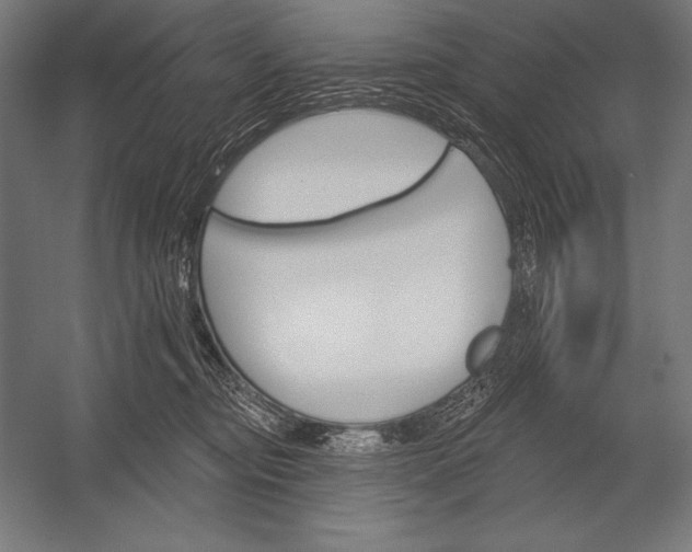 X0000053020374200507221346