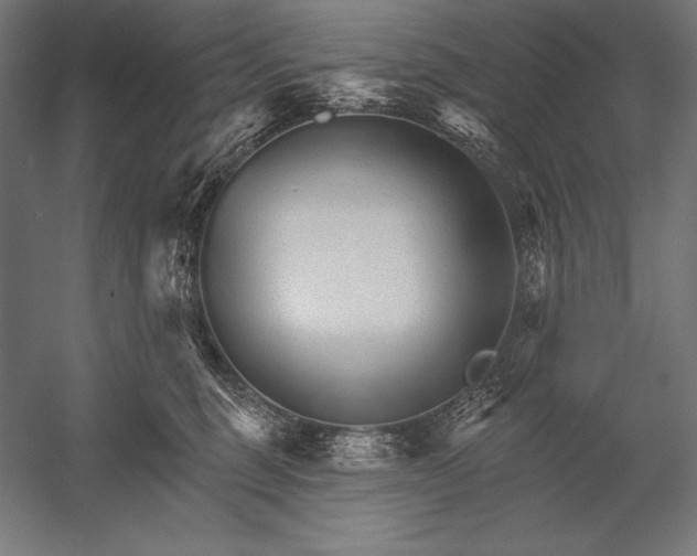 X0000053020375200507221346