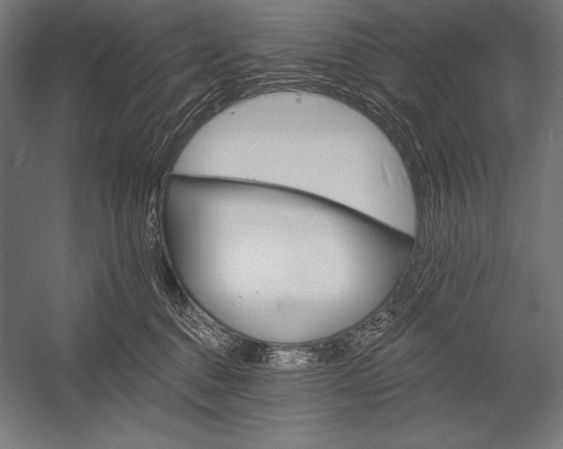 X0000053020376200507221346