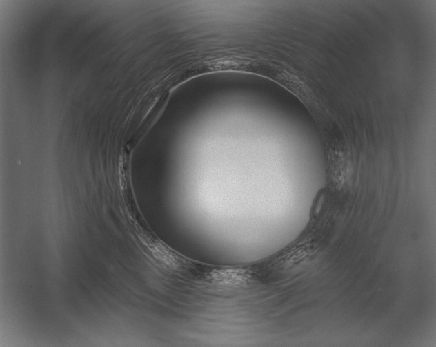 X0000053020378200507221346