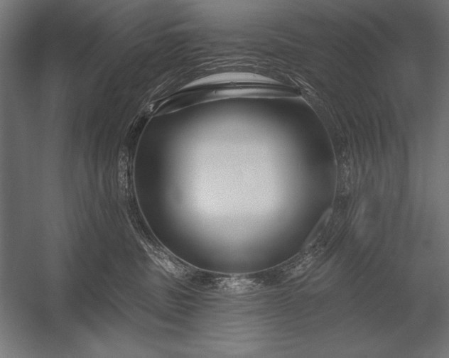 X0000053020379200507221346