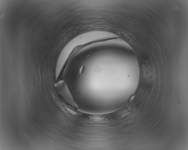 X0000053020380200507221346