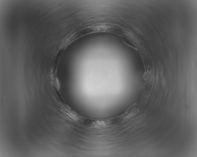 X0000053020381200507221346