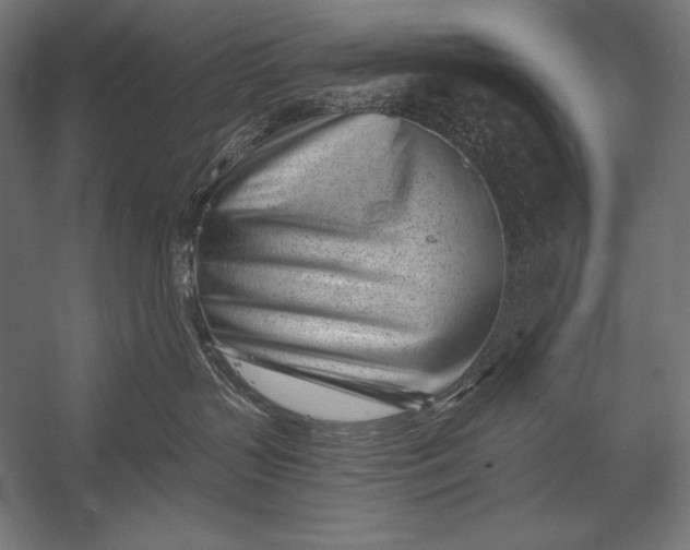 X0000053020383200507221346