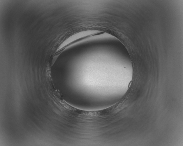 X0000053020384200507221346