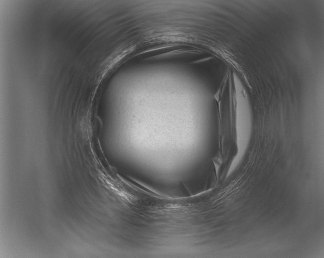 X0000053020390200507221345