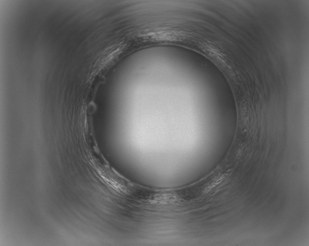 X0000053020398200507221345