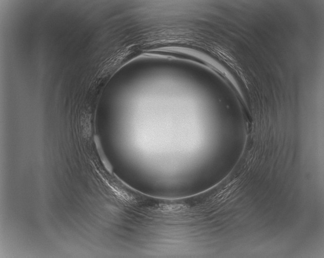 X0000053020401200507221345