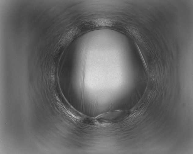 X0000053020402200507221345
